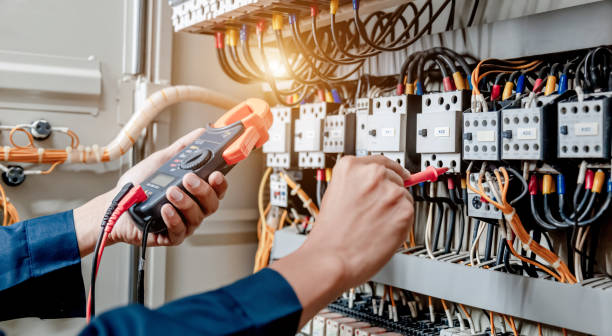 Best Electric Panel Repair  in Dellwood, MN